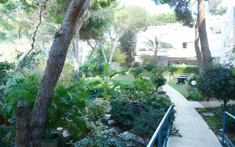 רעות התשבי — מבנה הבית מעבר לגן ולשביל הגישה
